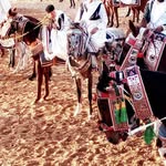 ali.azawi.83 - @ali.azawi.83 - Instagram