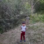 ali bamdad - @alibamdad67 - Instagram