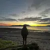 Cali_barclay - @cali_barclayy - TikTok