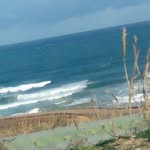 Ali Bedri - @alibedri23 - Instagram