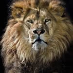 Ali Bedri - @alibedri00 - Instagram