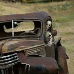 Bedri Agac - @ali.bedri41 - Instagram