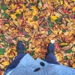 Ali Behbehani - @il_wawee - Instagram