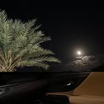 Ali Behbehani - @behbehani_1980 - Instagram