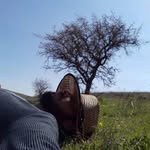 ali berkel - @aliberkel111 - Instagram