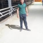 Ali Berkel - @berkel.ali - Instagram