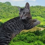 aliberkelmas45 - @aliberkelmas - Instagram