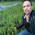 ALI BILLOUCH - @alibillouch - Instagram