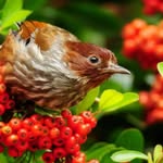 Ali Bruns - @ali.bruns3 - Instagram