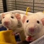 Ali Brunson - @alibrunson - Instagram