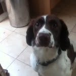 Alicia - @alicia.brunsdona - Instagram