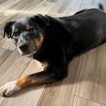 Ali Buckley - @ali_babyboy22 - Instagram
