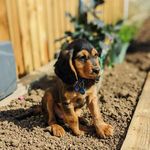 Alison Buckley - @ali.buckley.40 - Instagram