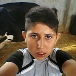 Ali Bürke - @aliburke8142 - Instagram