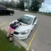 alice - @_alicecarver_ - TikTok