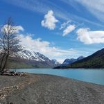 Ali Carver - @alamo23 - Instagram