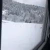 alicetin1221 - @alicetin1221 - TikTok