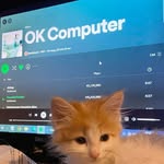 Ali_chapman - @ali_chapman01 - Instagram