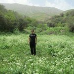Ali Dabiri - @dabiri.ali - Instagram