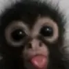 ali - @ali.gdavis - TikTok
