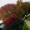 Ali Davis - @alidavis72 - TikTok