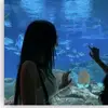 Aliday🤍 - @aliday.2 - TikTok