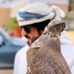 علي بن ذيبان 🇦🇪🇴🇲 - @ali_diban2 - Instagram
