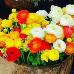 Ali DÖVER - @65_ali_doger - Instagram