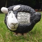 Ali Doyle - @alistairdoyle - Instagram