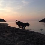 Ali & Kim Draper - @oldgogerddancottages - Instagram