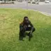 alisonldraper - @alisonldraper - TikTok