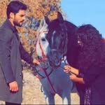 Ali Elayyan - @aielayyan - Instagram