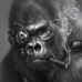Ali Fard - Facebook