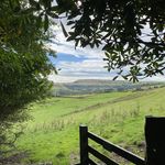 Ali Farrell - @farrell.ali - Instagram