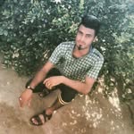 Ali Fini - @fi3347 - Instagram