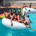 Alice Fulton - @alice_fulton - Instagram