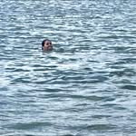 Ali Gavin - @kumquackt - Instagram