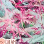 Ali Gavin_ - @ali.gavin_ - Instagram