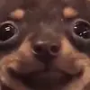 Ali Ghasemi - @ali.ghasemi64 - TikTok