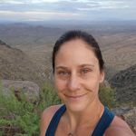 Ali | NTP, RWS 🌿 Gut Health Practitioner - @aligibsonwellness - Instagram