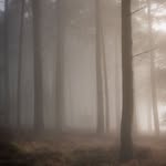 Ali Graham - @aligrahamphotography - Instagram