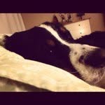Ali_Griffin - @ali_griffin - Instagram