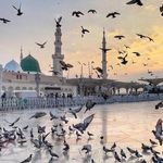 Ali Hamdan - @alii_hamdan_ - Instagram