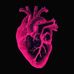 Ali Hamdan - Facebook