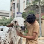 علی حنیف - @_.ali.hanif._ - Instagram