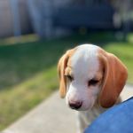 Olive & Ali Herron - @thefeltedolive - Instagram