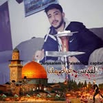 Ali Homsi - @ali_hamsi1998 - Instagram