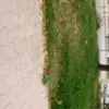 Ali Ilgin793 - @ilginali42 - TikTok