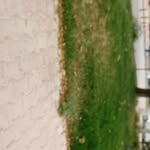 ali ılgın - @ilgin212 - Instagram