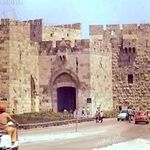 ali jadallah - @ali.jadallah1 - Instagram